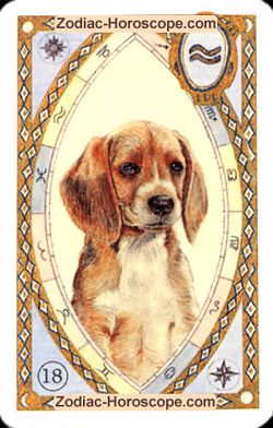 The dog astrological Lenormand Tarot