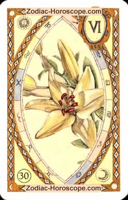 The lily, monthly Love and Health horoscope August Pisces