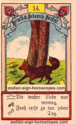 The fox, monthly Pisces horoscope February