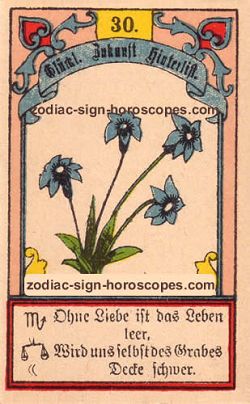 The lily, monthly Pisces horoscope February